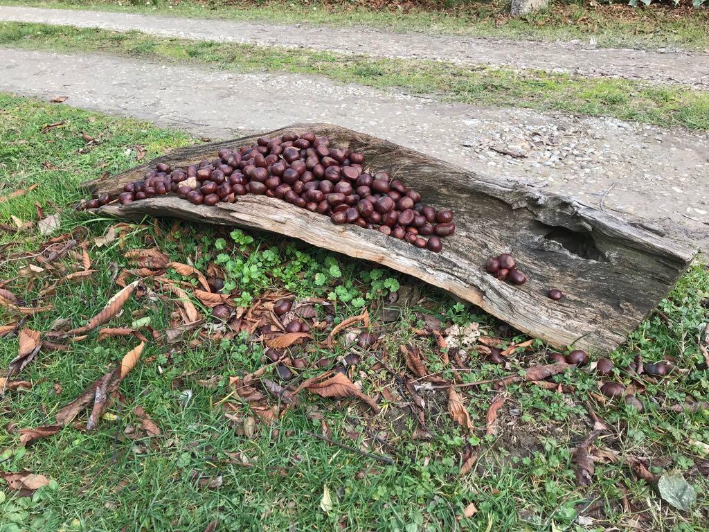 B&B Palazzo A Merse San Rocco a Pilli Kültér fotó